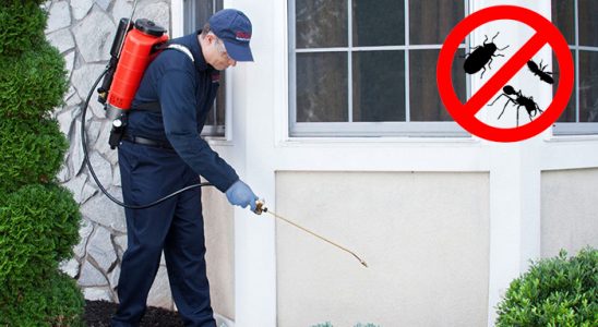 Pervari Kemirgen İlaçlama böcek ilaçlama ve haşere kontrolü — ilaclama-tr.com